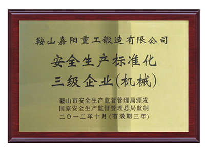 安全生產(chǎn)標(biāo)準化三級企業(yè)